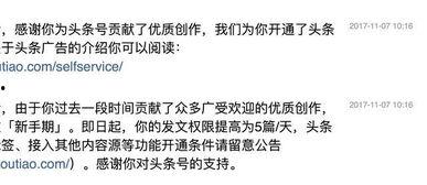 头条自媒体转正什么意思,从新手到专业创作者的蜕变之路