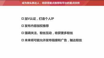 怎样提升头条的粉丝数,五大策略助你轻松提升头条粉丝数