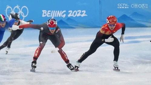 冬奥会体育网红,闪耀冰雪舞台的明星风采