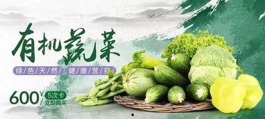 乔老师有机瓜菜绿色基地,绿色健康，引领现代农业新潮流”