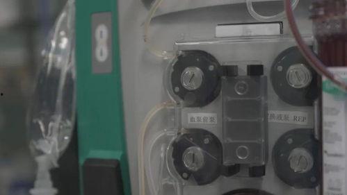 天刀网红区,江湖风云再起，传奇故事续写