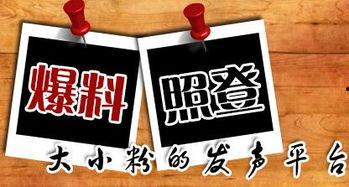 陕西当地新闻爆料网,聚焦本土热点事件，揭秘社会现象背后的真相