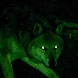 穿越到吃瓜躺赢,躺赢人生新篇章