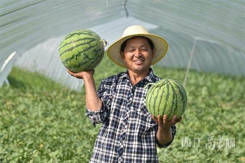 北枫ob吃瓜,揭秘娱乐圈幕后风云