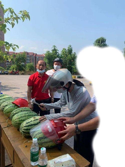 内黄吃瓜事件起因,一场网络热议背后的真相揭秘