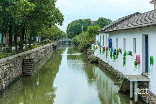 临山网红,揭秘这座城市的魅力新地标