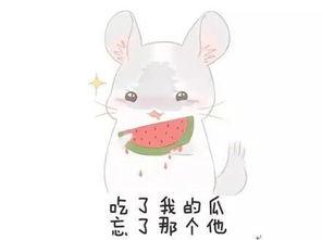 吃瓜群众免费吃瓜q群,网络社交新潮流