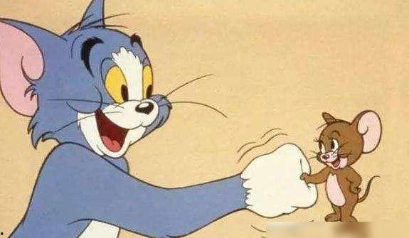 老鼠闯进店里猫吃瓜,上演猫鼠大战