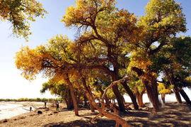 今日头条秋天美如画,捕捉最美的季节瞬间