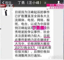 开门大吉山寨明星,揭秘娱乐圈的另类风采