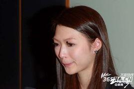 香港明星文姓,璀璨星河中的璀璨星辰