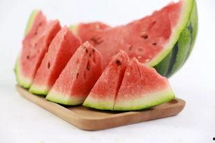 夏天吃瓜宣传片,跟随“吃瓜宣传片”畅享清凉时光