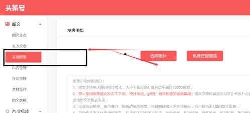 头条怎么发照片带音乐,如何用头条发布带音乐的照片，打造个性化内容