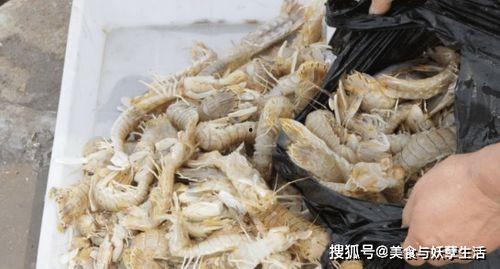 网红卖臭虾,臭虾挑战，味蕾与勇气的双重考验