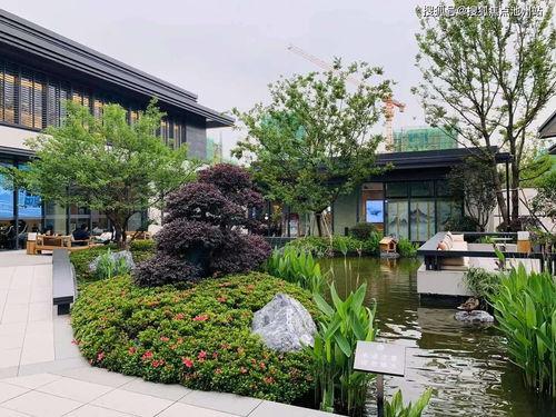 广安网红打卡中餐厅电话,探寻中餐厅电话背后的美食传奇