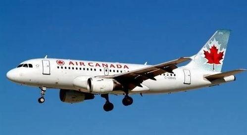 航航网红,网络红人的崛起与影响力